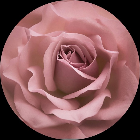 mypinkcloset77